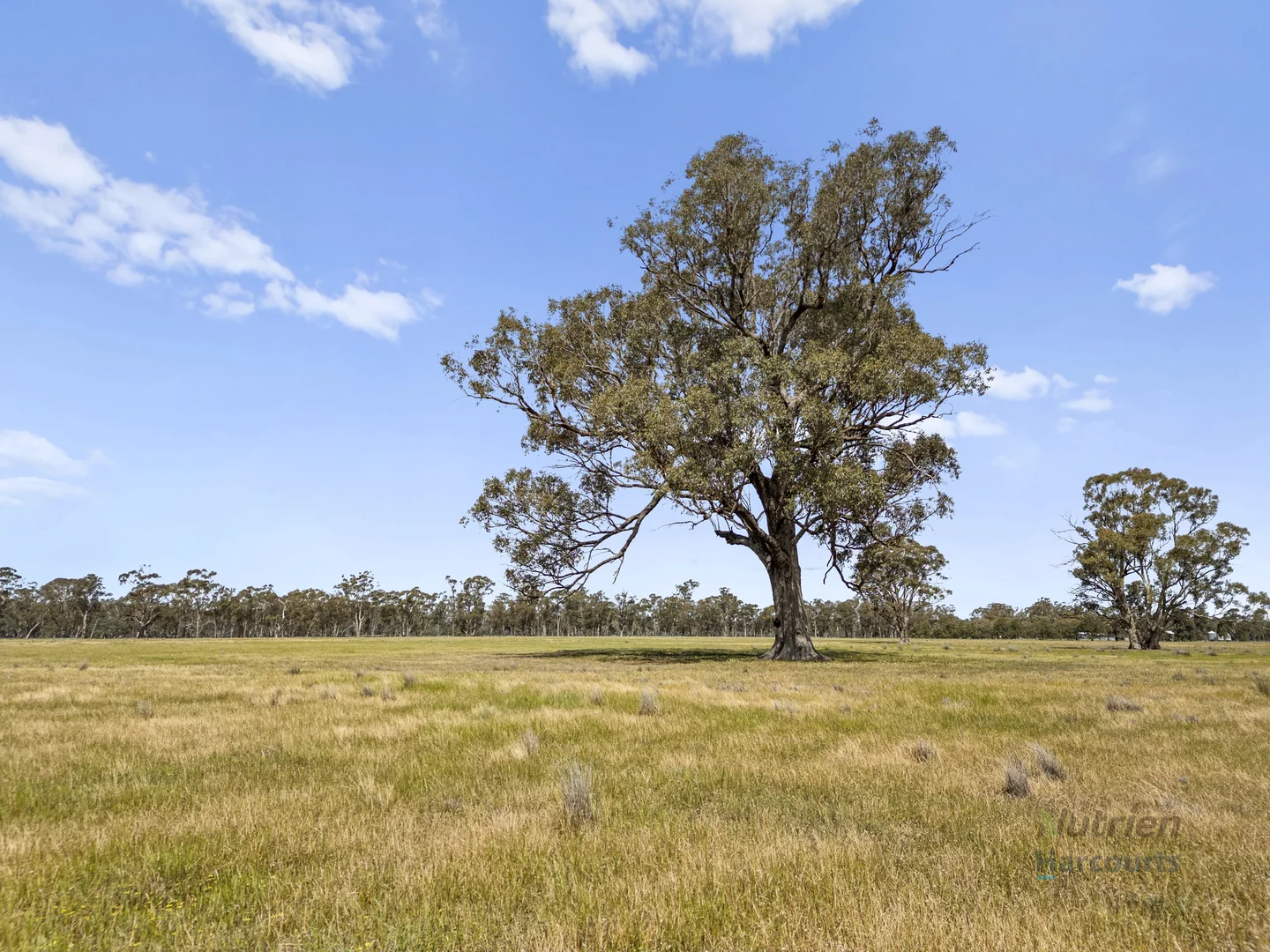Additional image 11 of 1633 Euroa-Shepparton Road, Miepoll VIC 3666