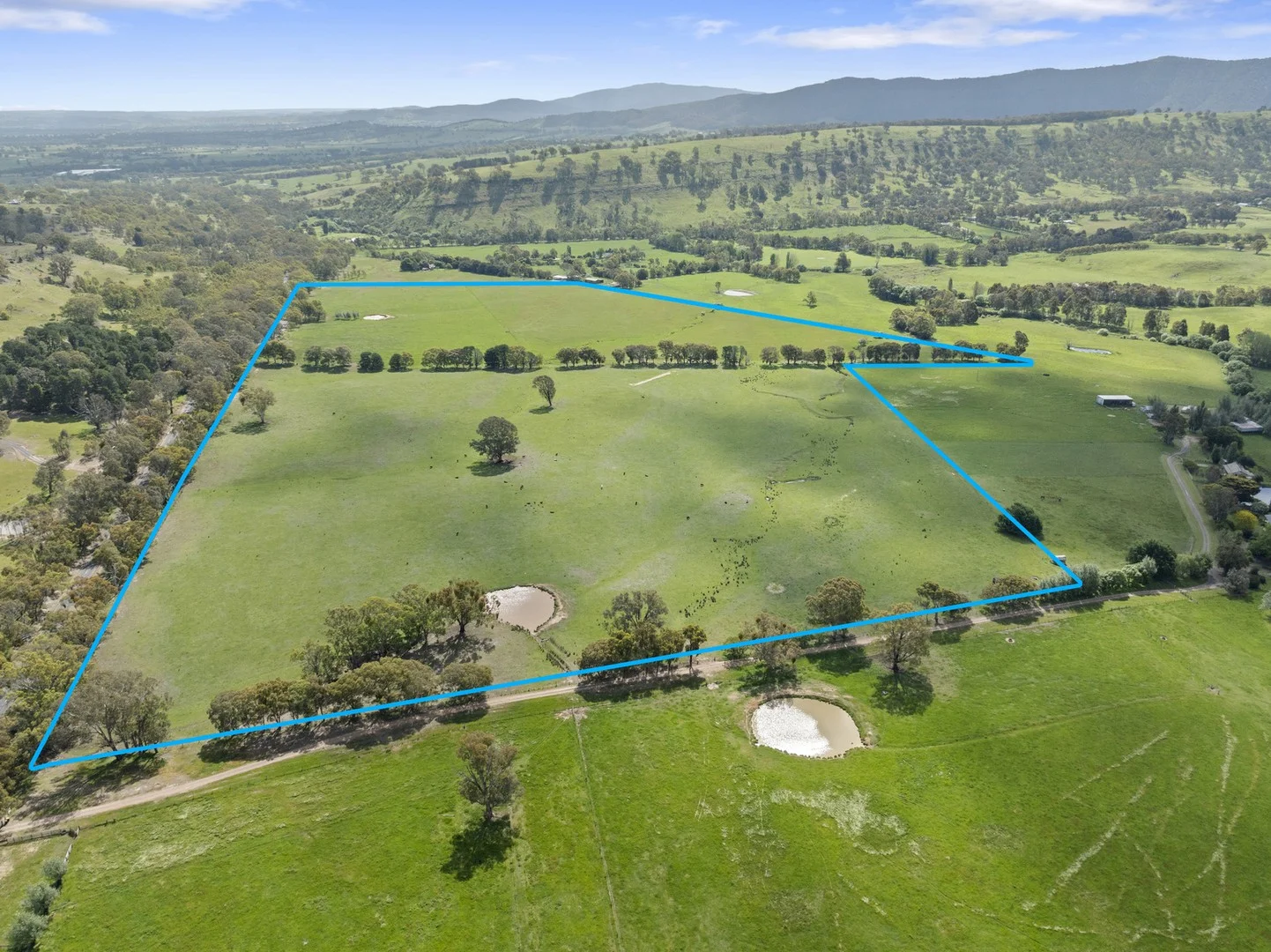 Additional image 7 of 1477 Mansfield-Whitfield Road, Bridge Creek VIC 3723