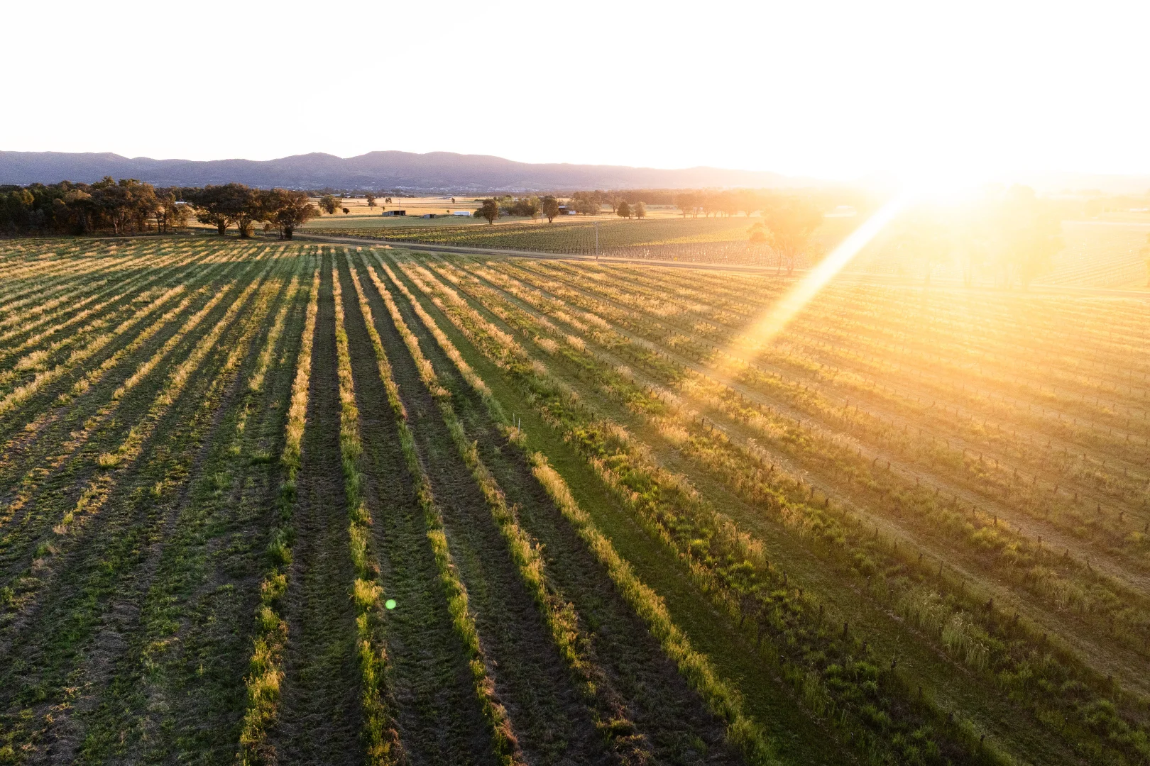 Additional image 3 of Lot 1 Black Springs Road, Mudgee NSW 2850