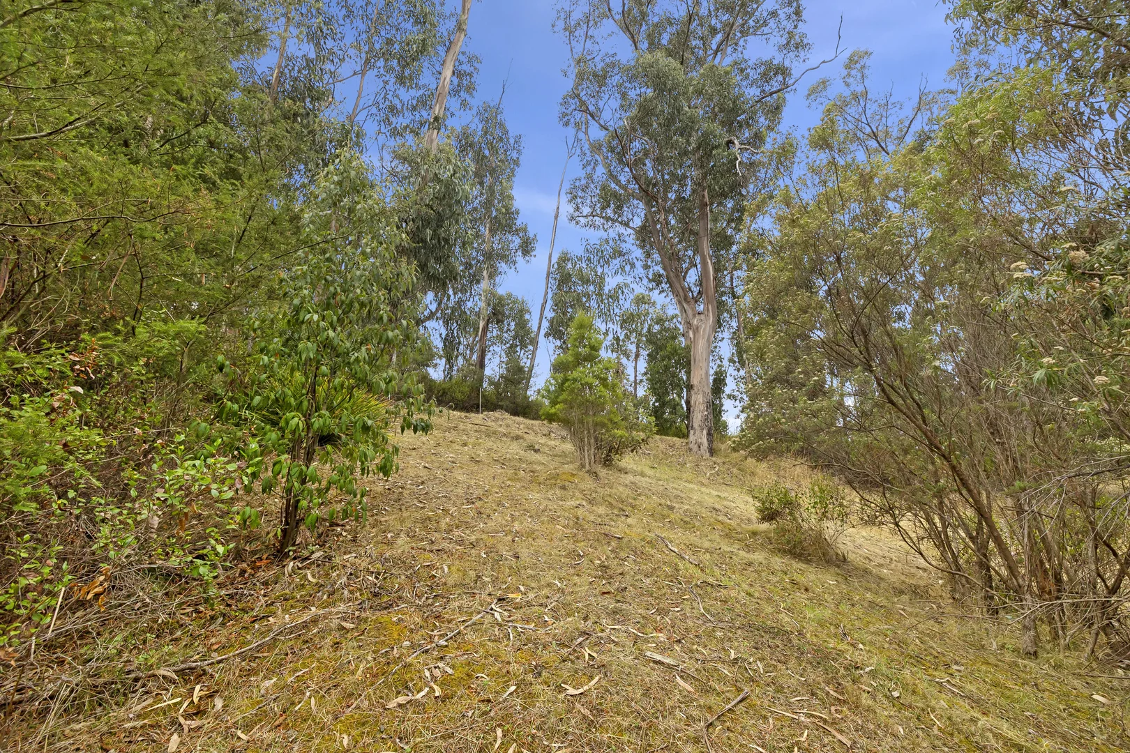 Additional image 4 of 50 Karingal Drive, Wye River VIC 3234