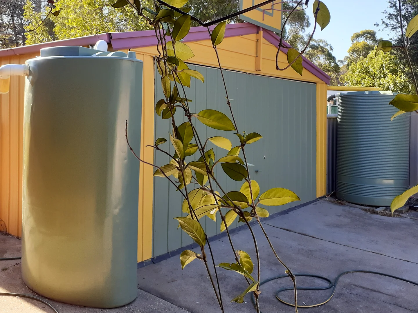 57 Rohs Road, East Bendigo VIC 3550