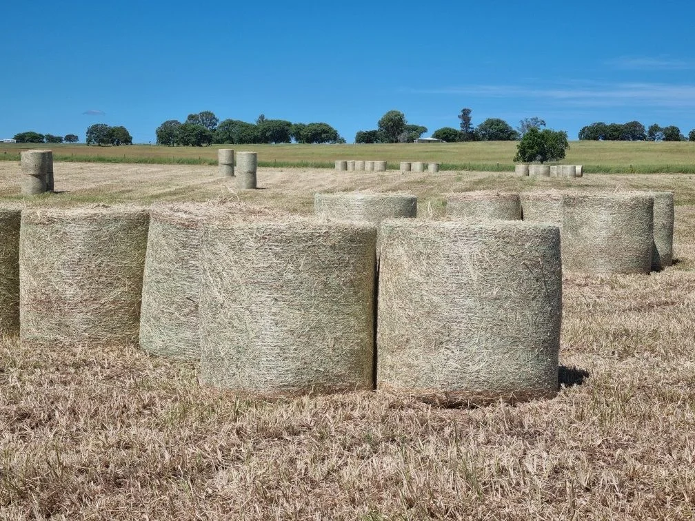 167 Linnings Rd, Haigslea QLD 4306