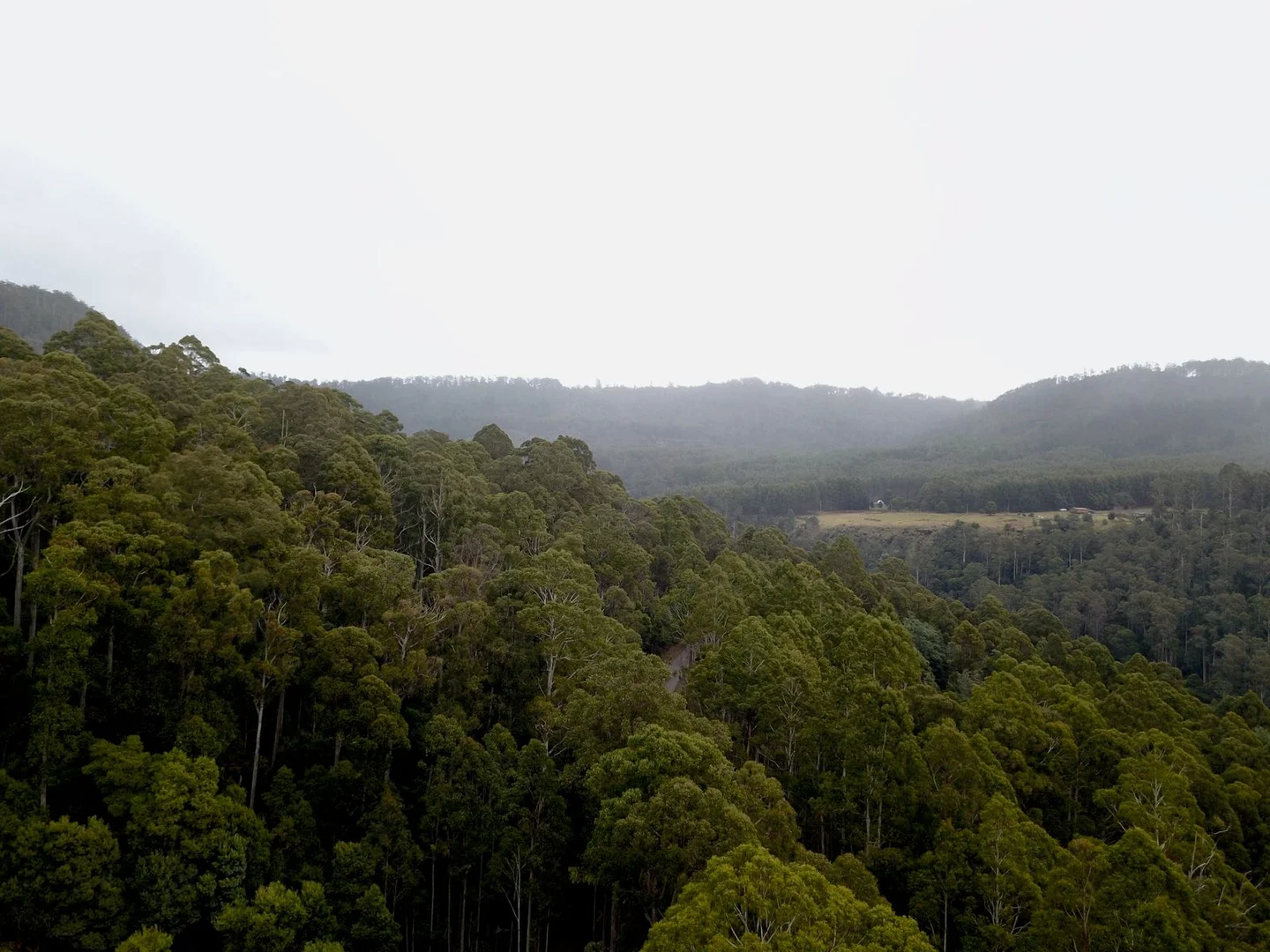 Additional image 2 of 400 Olivers Road, Liena TAS 7304