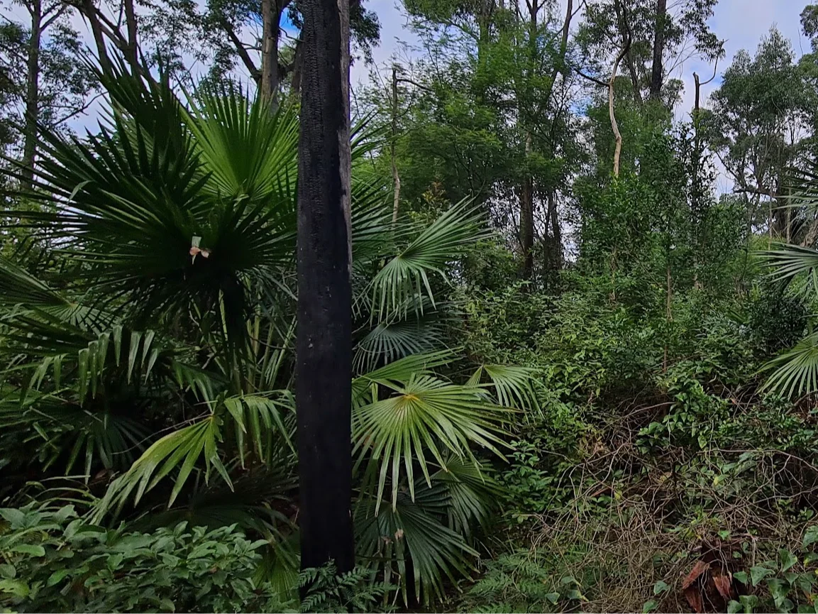 Additional image 21 of Illaroo NSW 2540