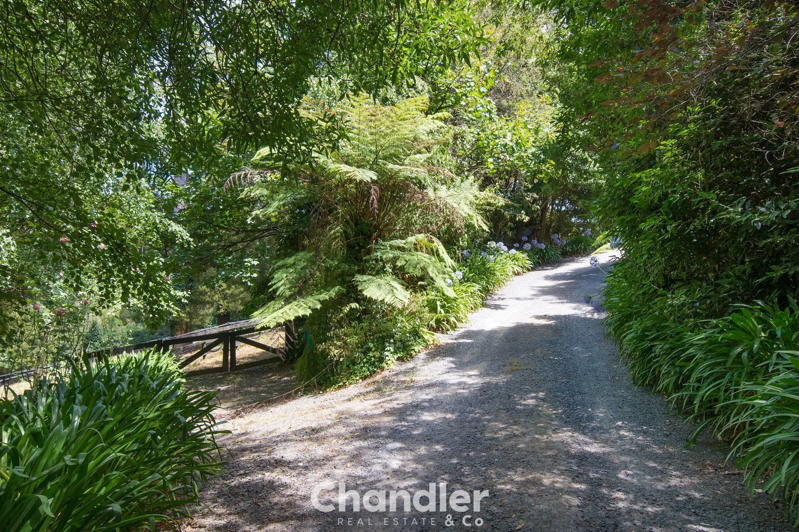 Additional image 24 of 9A Edenmont Road, Emerald VIC 3782