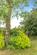 Additional image 18 of Walsingham, Norfolk