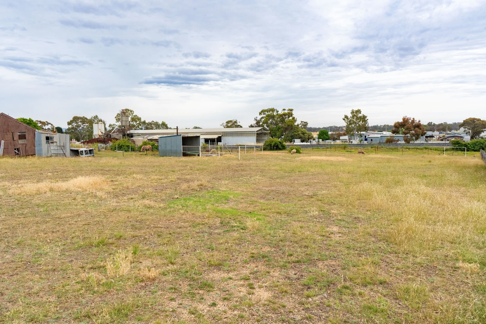 Additional image 6 of 19 York Avenue, Avoca VIC 3467