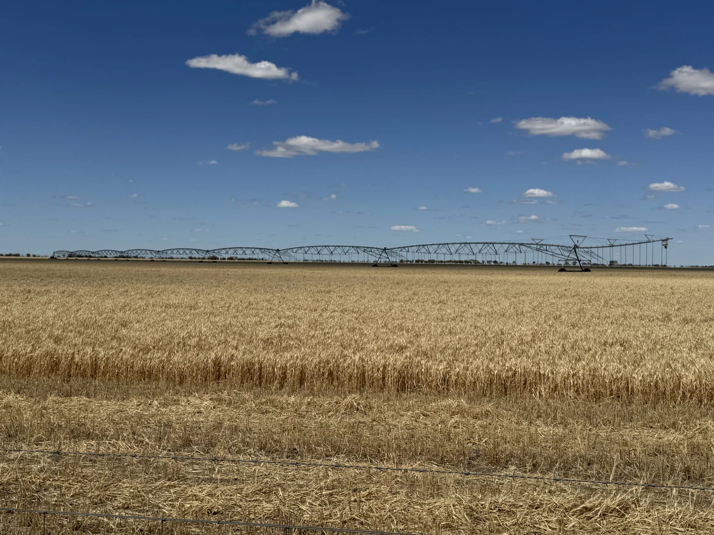 Additional image 54 of 300 Devon Road, Deniliquin NSW 2710