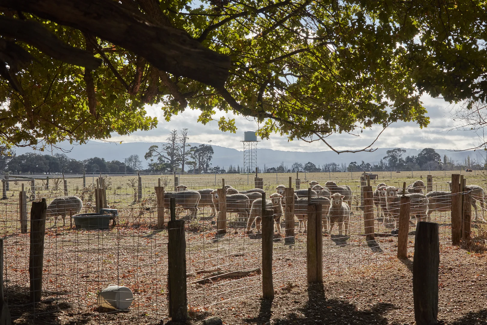 Additional image 11 of 171 Ross Watt Road, Gisborne VIC 3437