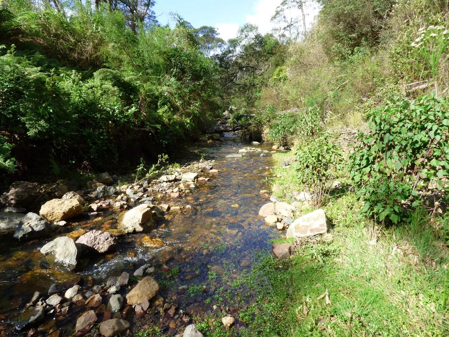 Additional image 2 of Lot 1122 Ruggs Road, Nethercote NSW 2549