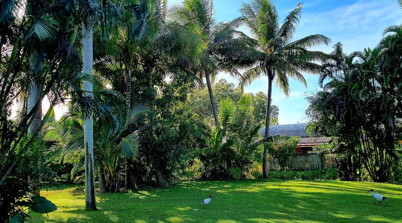 Additional image 17 of 22-38 Apsley Way, Andergrove QLD 4740