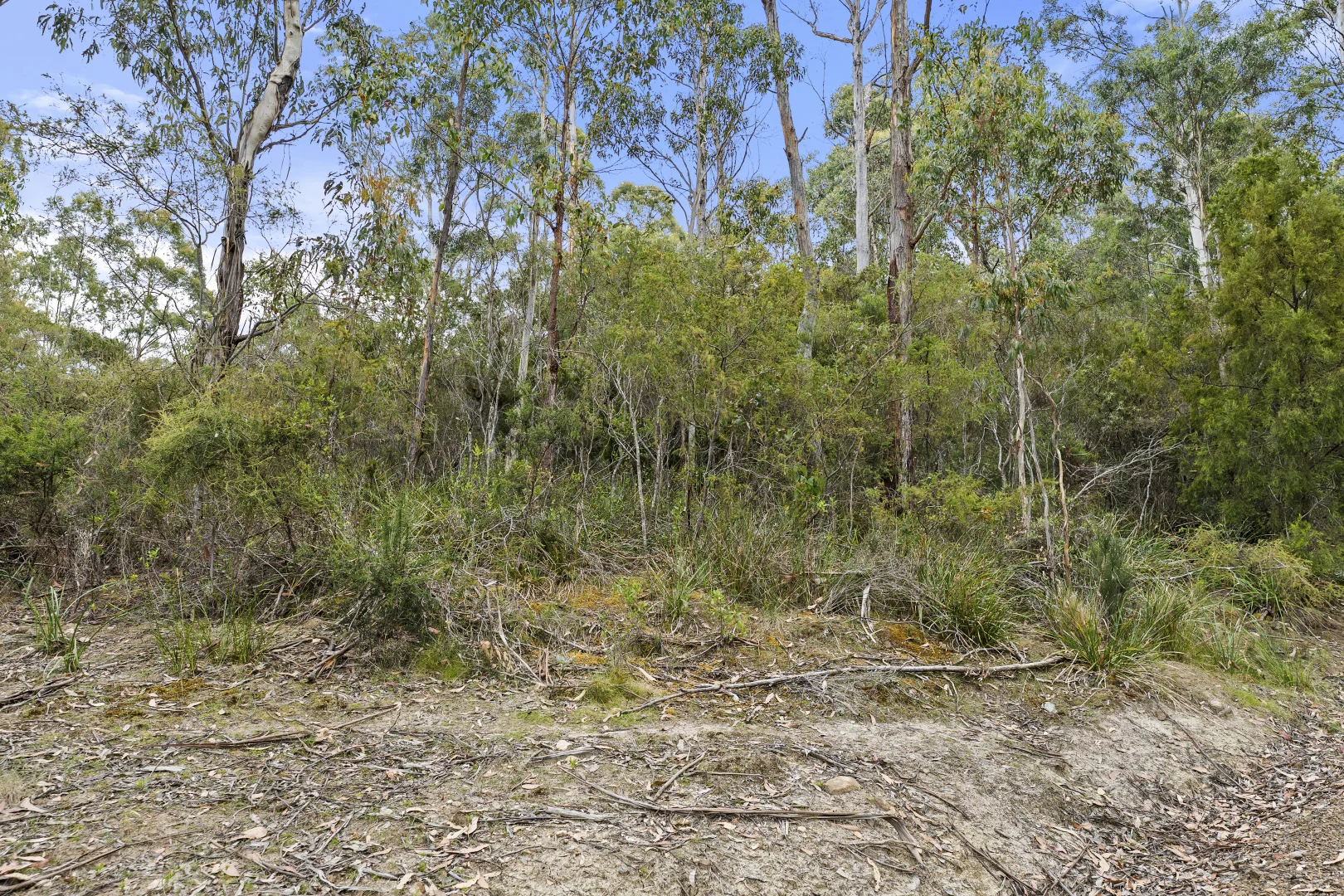 Additional image 17 of 5286 Channel Highway, Gordon TAS 7150