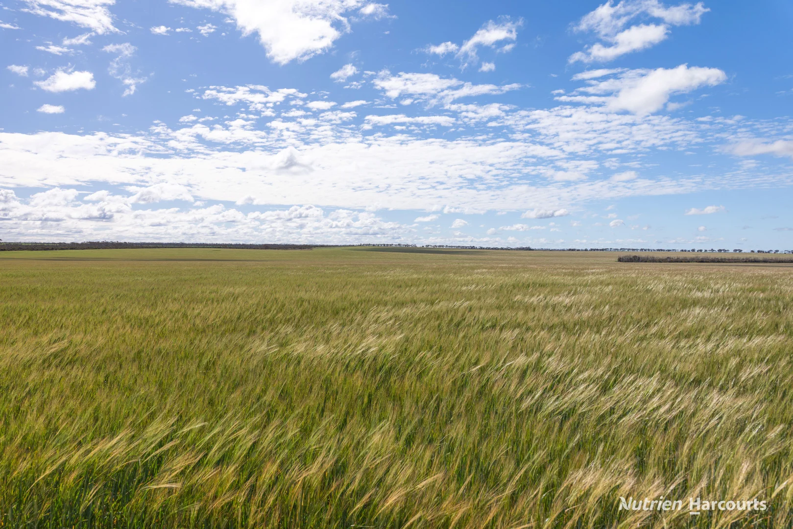 Additional image 4 of . Rollond Road, Cascade WA 6450