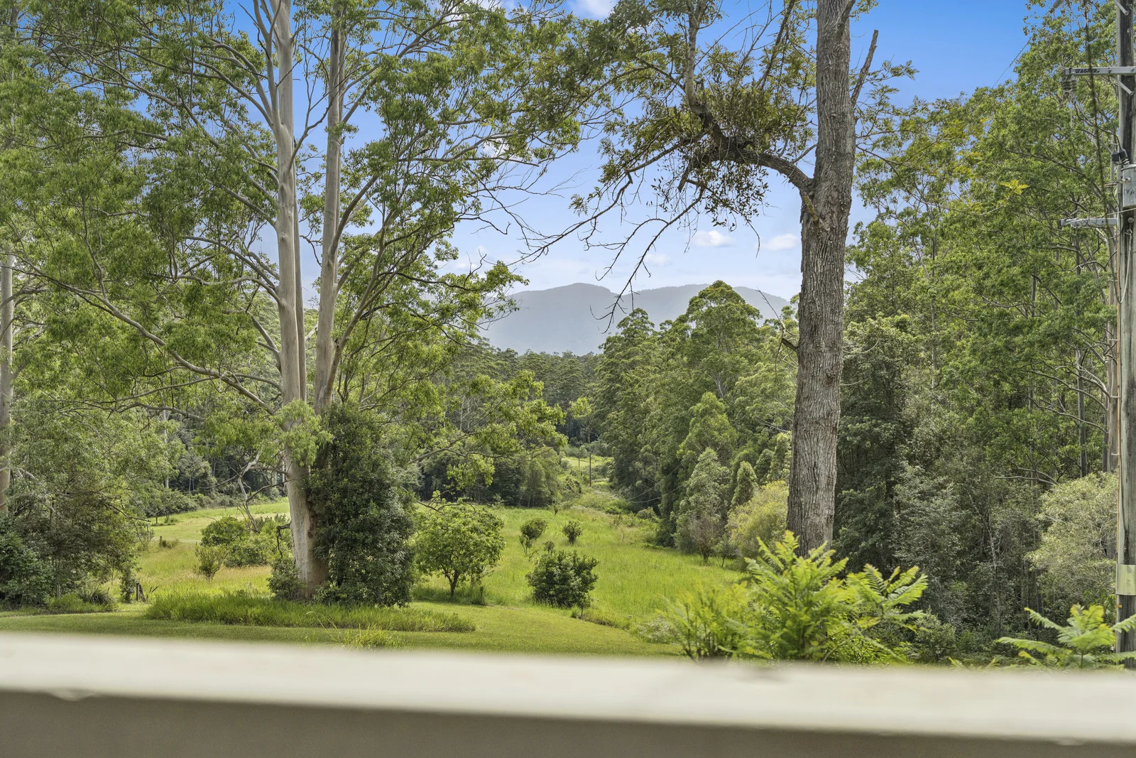 Additional image 2 of 121 Boggy Creek Road, Bellingen NSW 2454