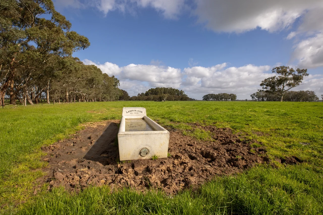 Additional image 34 of 546 Bool Lagoon West Road, Penola SA 5277