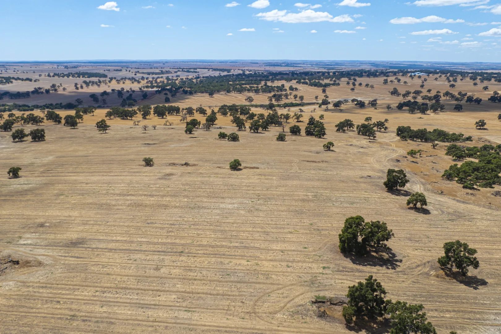Additional image 32 of 1830 Rowes Road, Dandaragan WA 6507