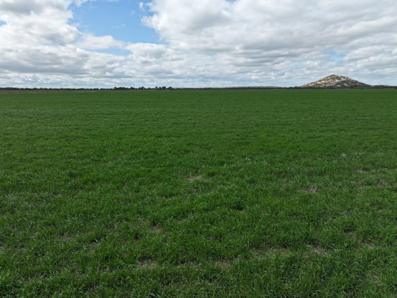 Additional image 8 of - Oneil Street, Pyramid Hill VIC 3575