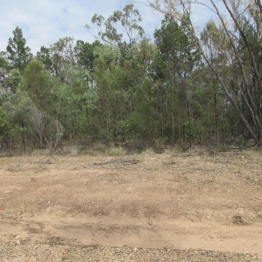 Additional image 3 of Lot 25 Cnr Vickery and Chappells Road, Tara QLD 4421