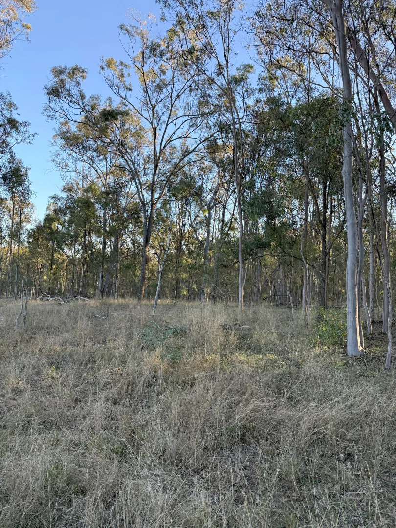 Additional image 3 of Wesslings Road Wesslings Road, Murgon QLD 4605