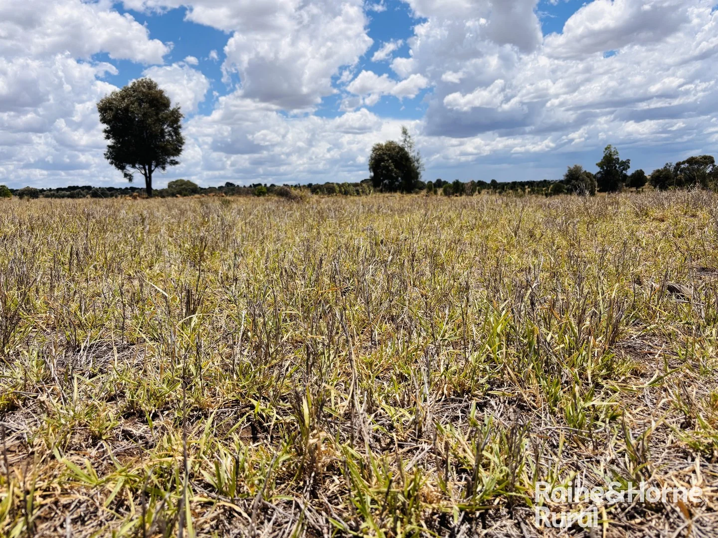 330 Burrow Downs Road, Injune QLD 4454