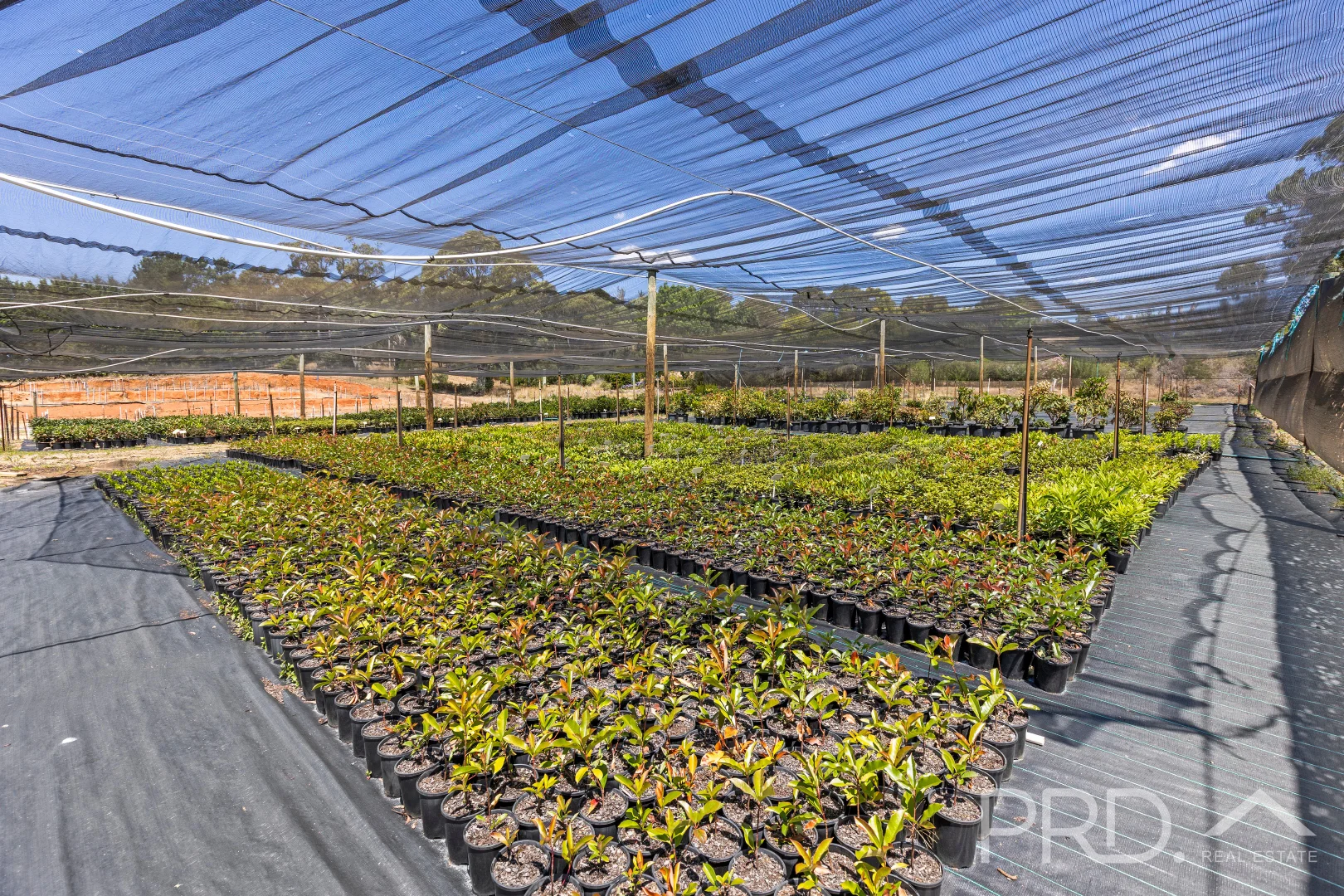 Additional image 25 of 56 Mines Road, Batlow NSW 2730