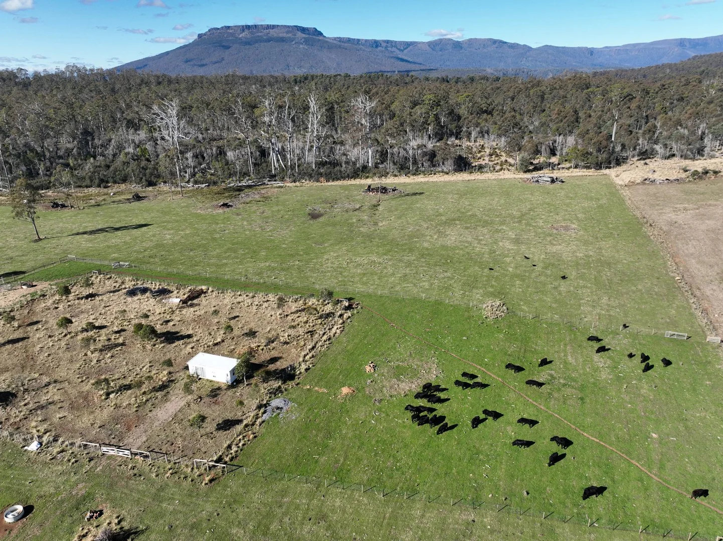 Additional image 6 of 560 Gads Hill Road, Mersey Forest TAS 7304