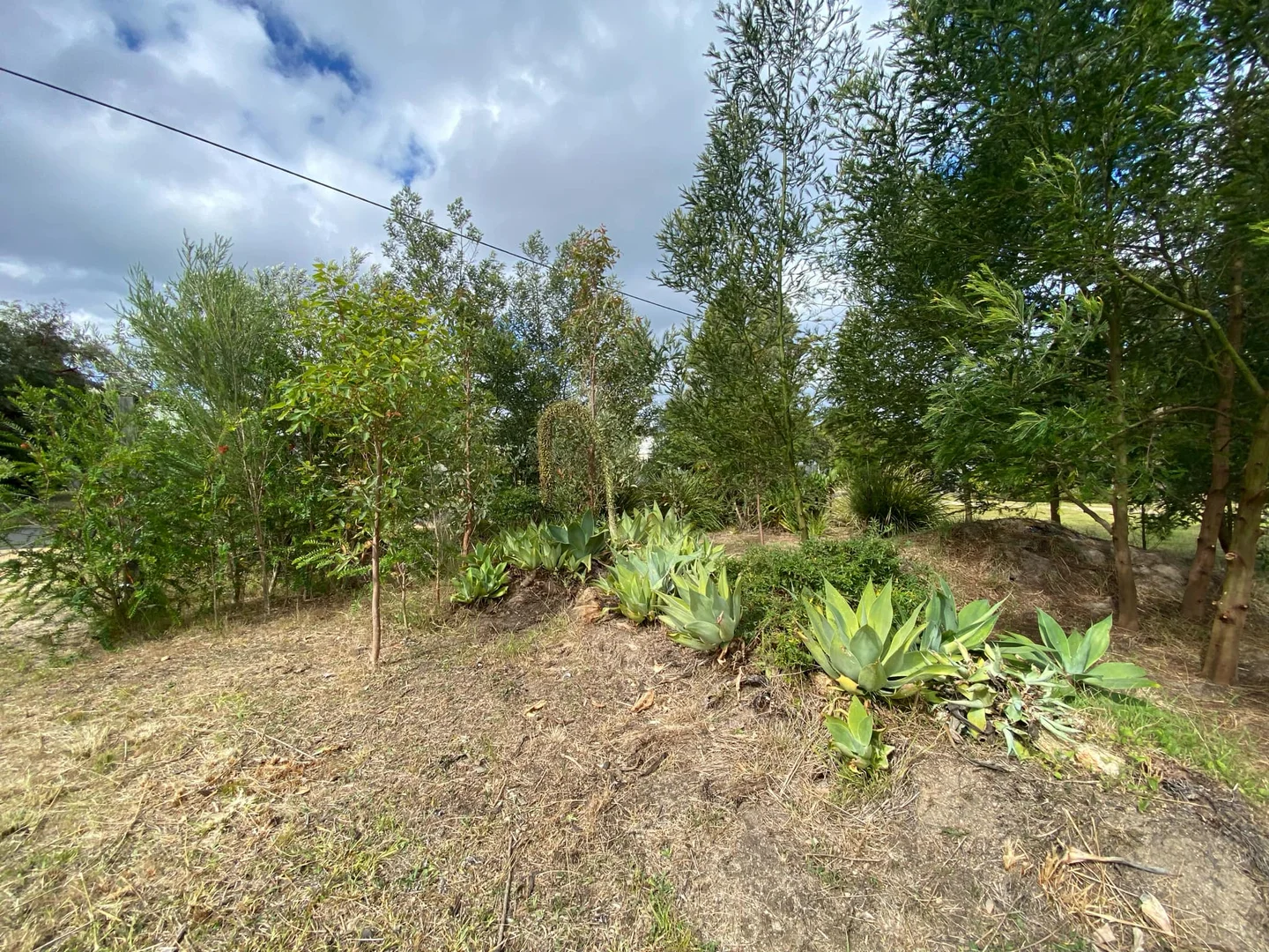 Additional image 5 of 24 Terra Nova Drive, Mallacoota VIC 3892