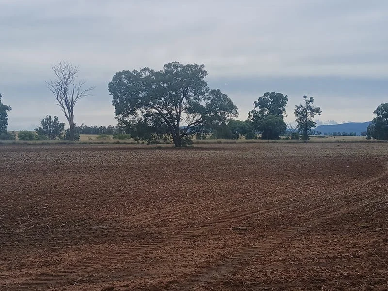 Additional image 14 of Tooraweenah NSW 2817