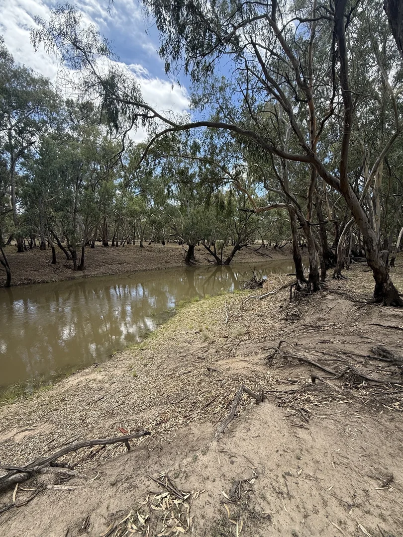 Additional image 70 of 506 North Forbes Rd, Condobolin NSW 2877