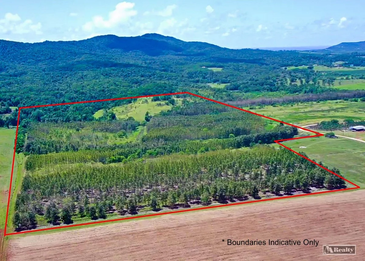 Additional image 15 of L 18 Camarlinghi Road, Daradgee QLD 4860