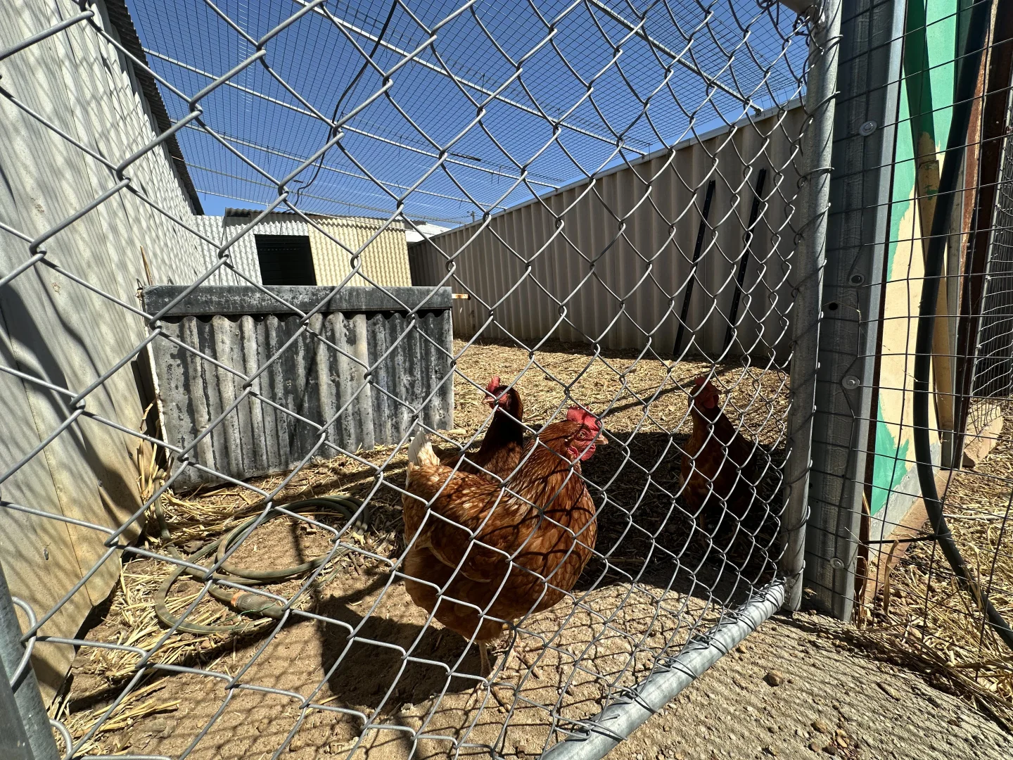 Additional image 28 of 30 Mcintyre Street, Dumbleyung WA 6350