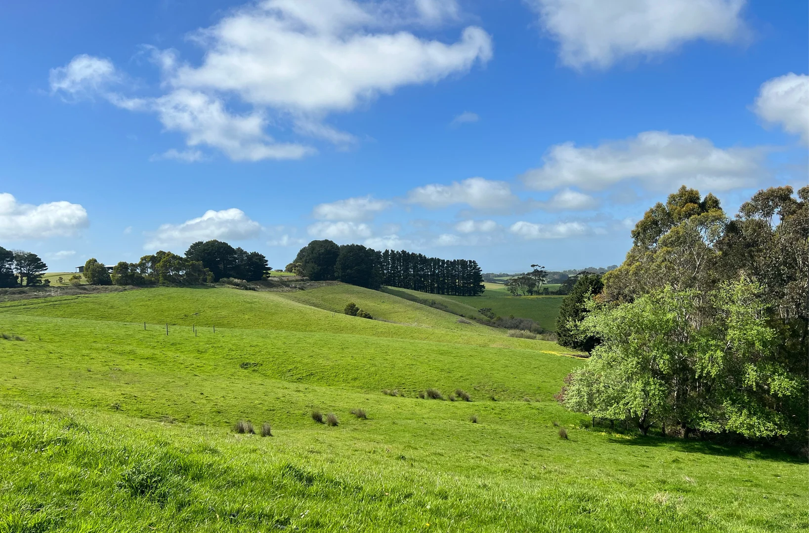 Additional image 23 of Foster VIC 3960