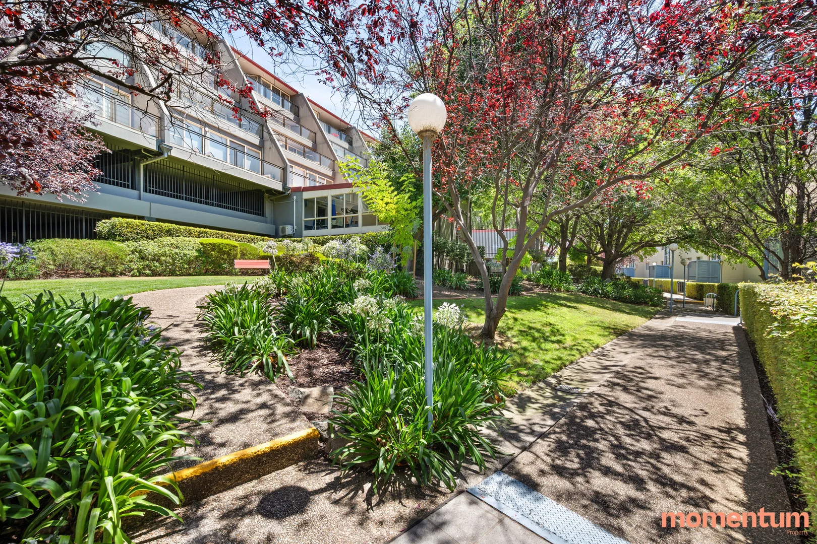 Additional image 16 of 51A/17 Chandler Street, Belconnen ACT 2617