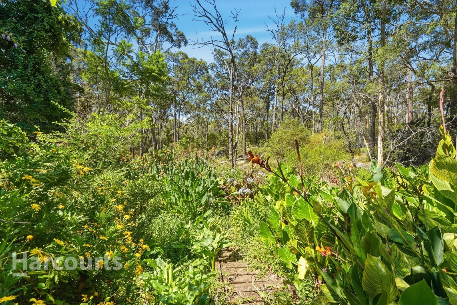 Additional image 13 of 30 Wollondilly Avenue, Wilton NSW 2571