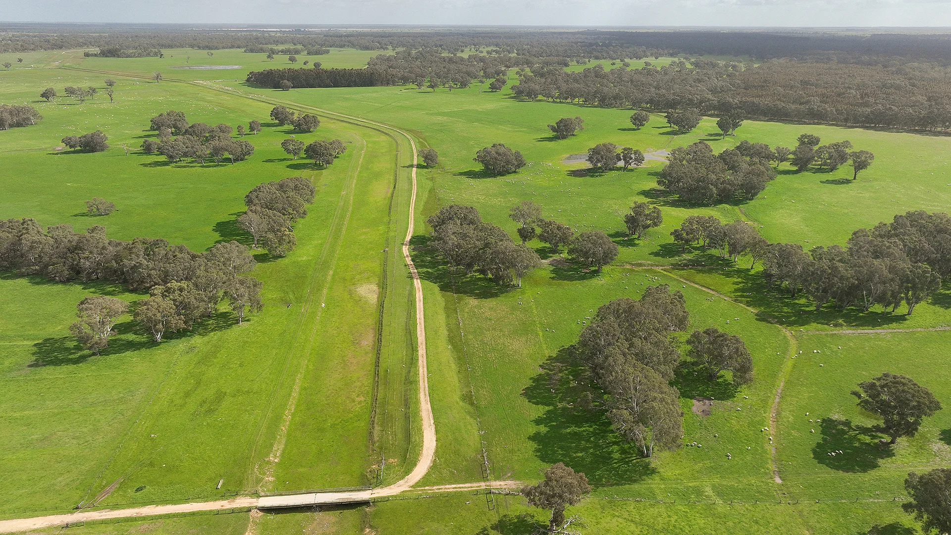 Additional image 10 of 546 Bool Lagoon West Road, Penola SA 5277