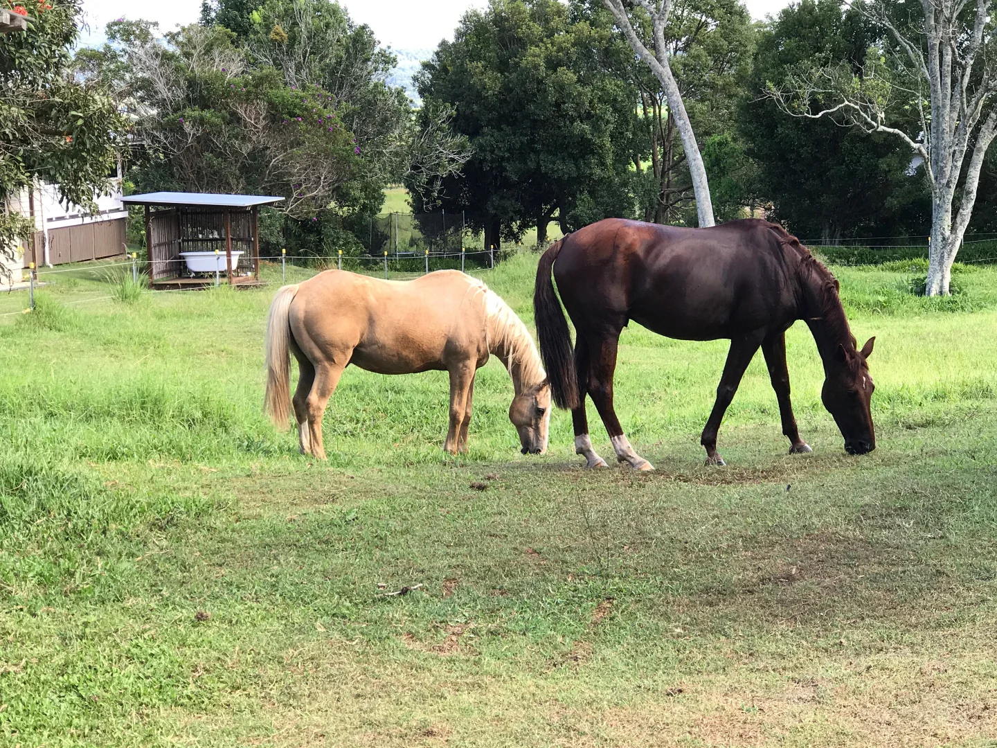 Additional image 25 of 410 Eviron Road, Farrants Hill NSW 2484