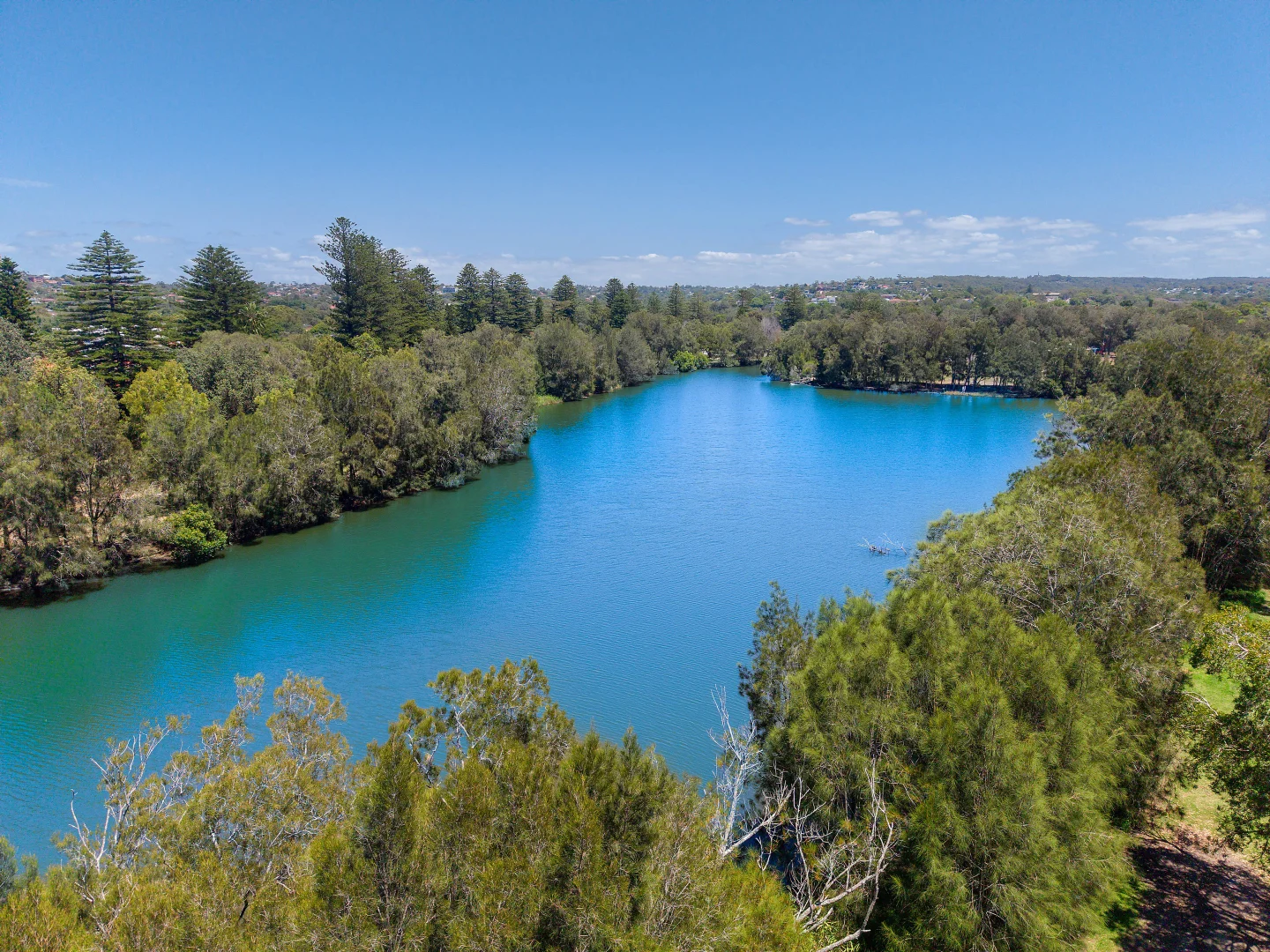 Additional image 18 of 62 Greycliffe Street, Queenscliff NSW 2096