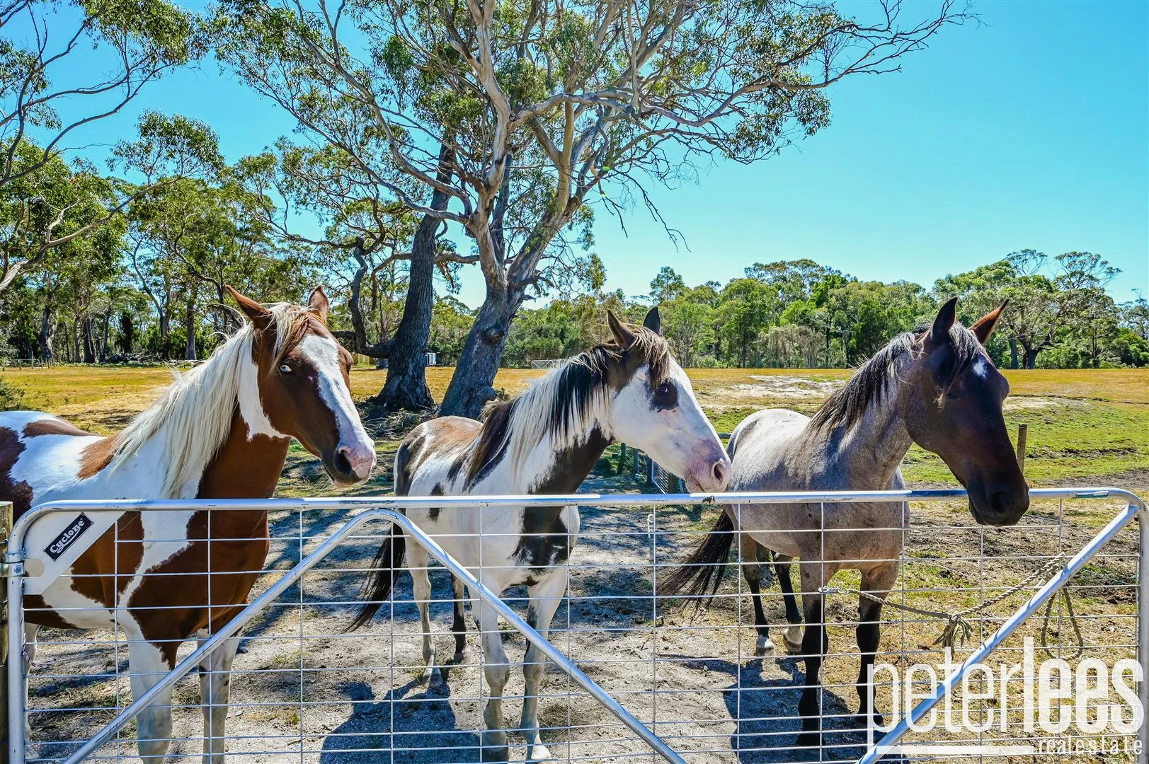 Additional image 17 of 25498 Tasman Highway, St Helens TAS 7216