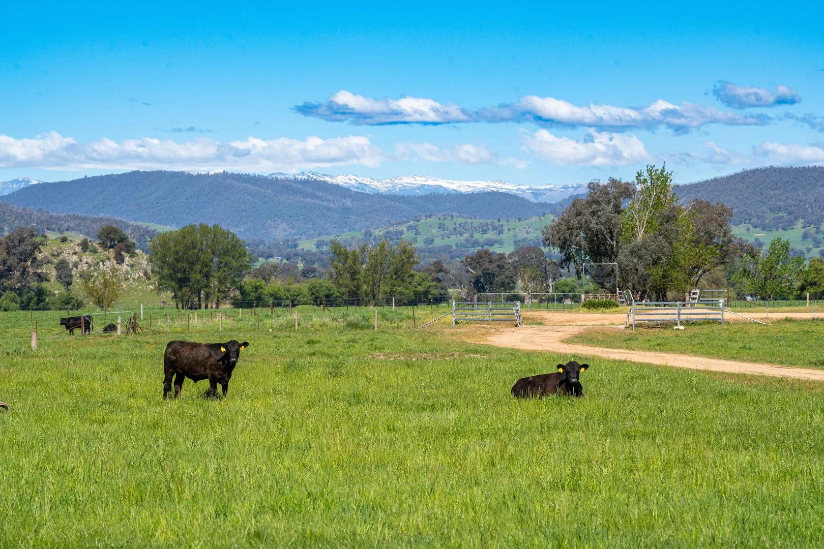 Additional image 26 of 129 Baileys Road, Cudgewa VIC 3705