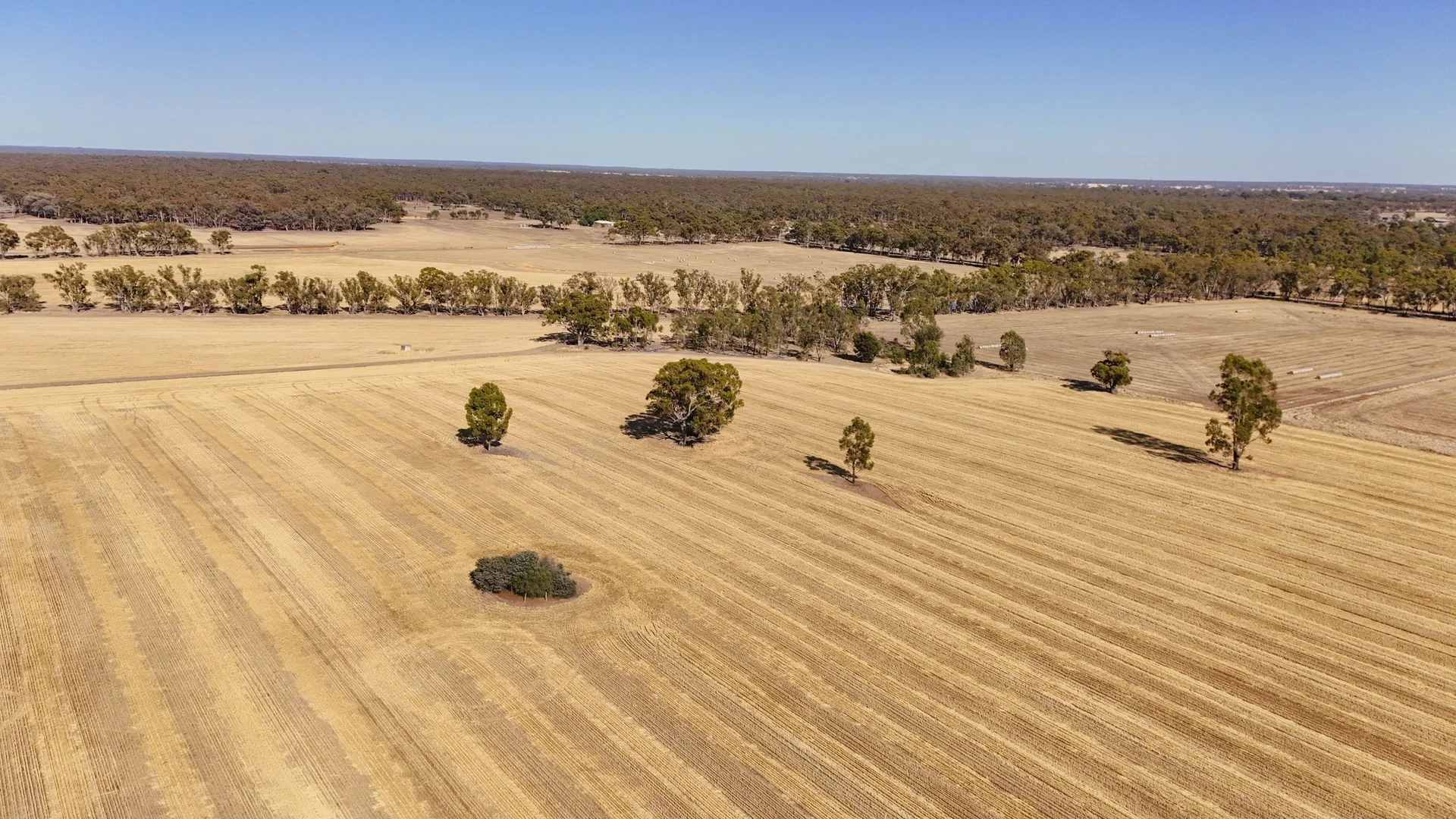 Additional image 6 of 99 Winzar Lane, Goornong VIC 3557