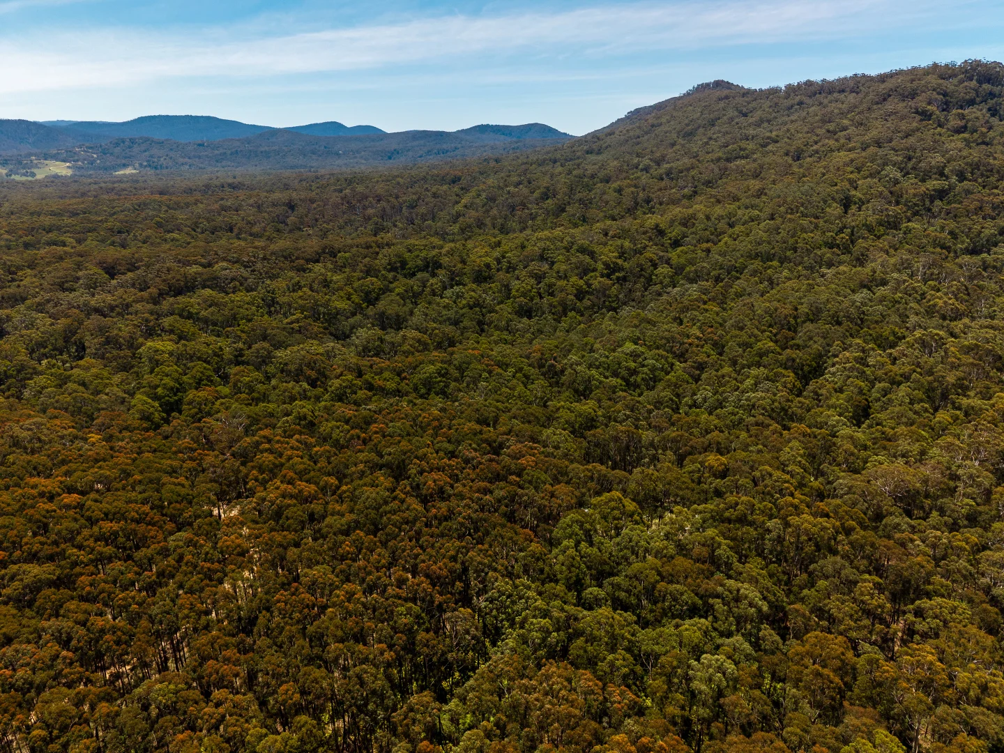 Additional image 11 of 1824 Mount Darragh Road, Wyndham NSW 2550