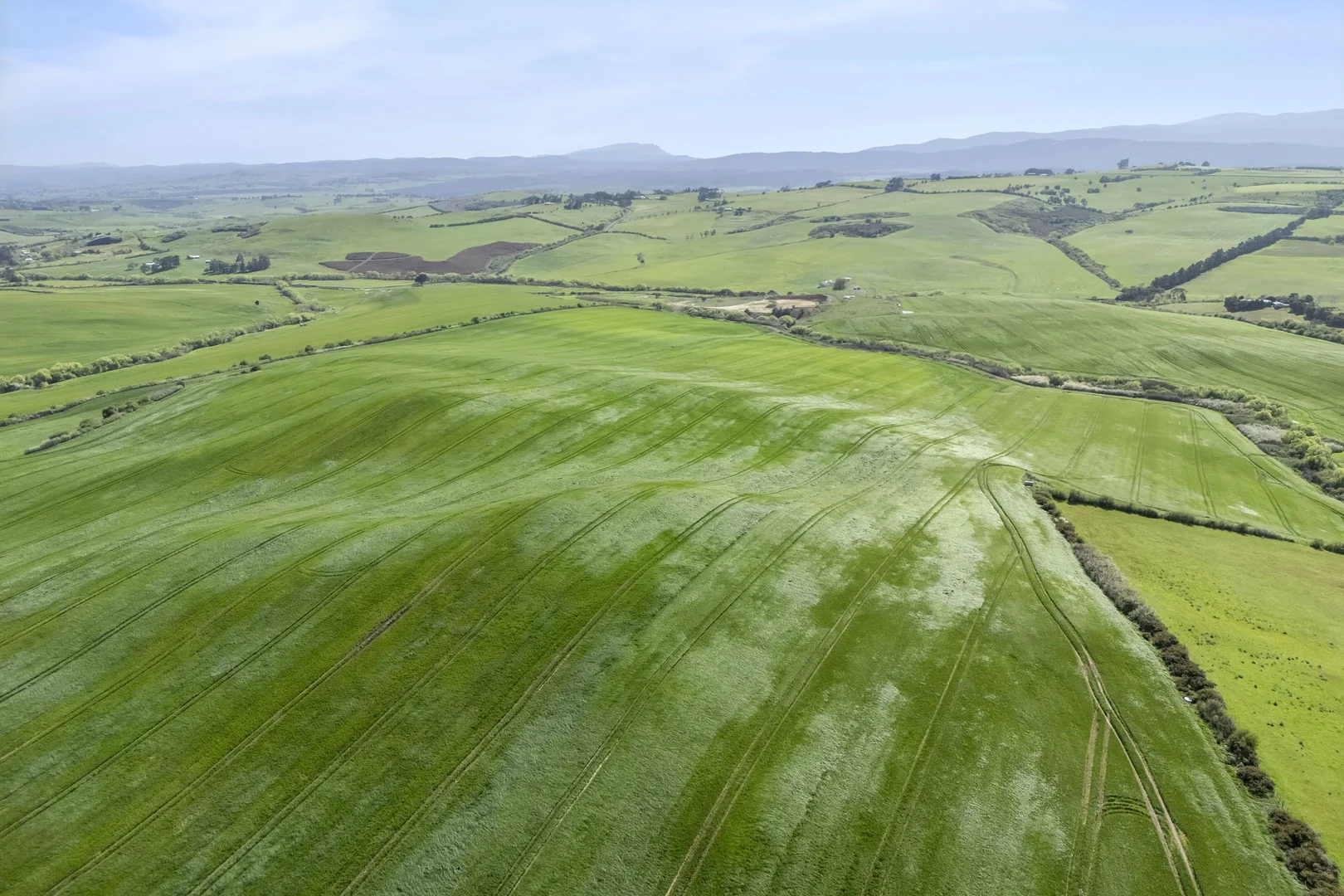 Additional image 3 of . White Hills Road, White Hills TAS 7258