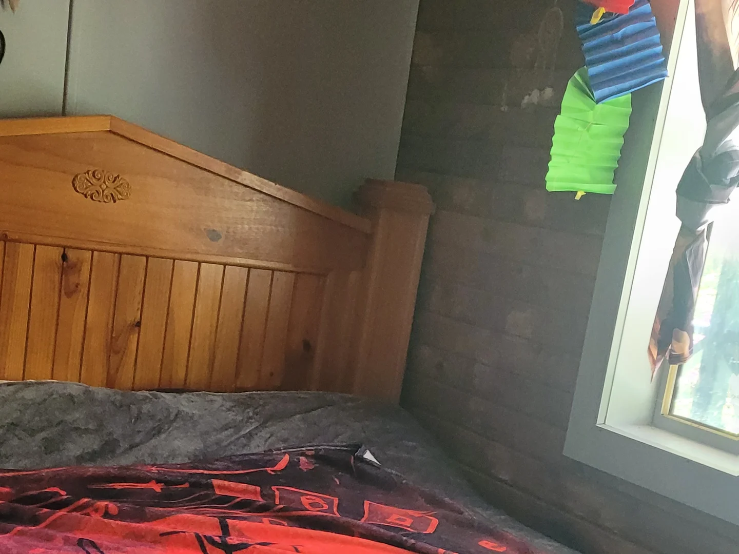 Additional image 3 of 1809 Bonang Road, Delegate River VIC 3888