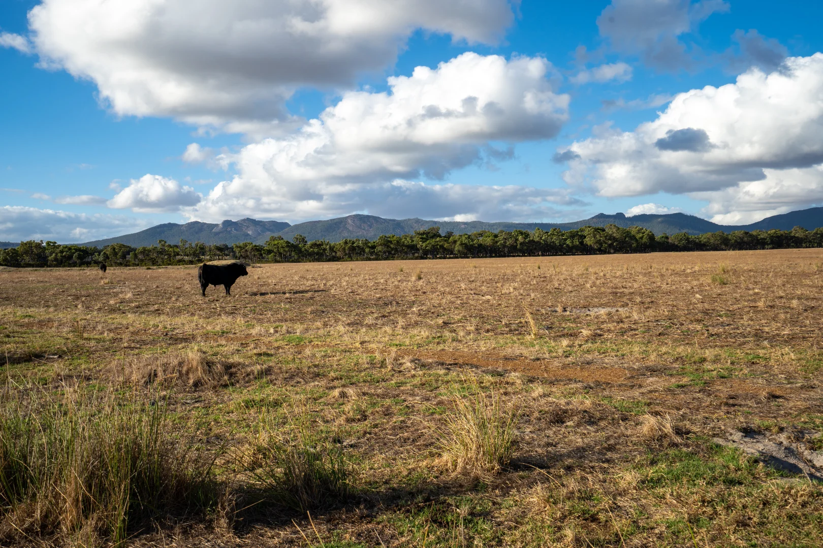 Additional image 4 of Lot 474 Yellanup Road, Narrikup WA 6326