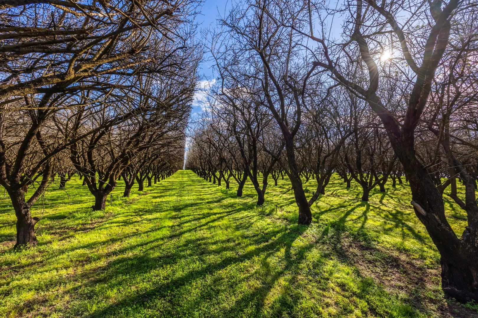 Additional image 17 of 3272 Kulkyne Way, Colignan VIC 3494