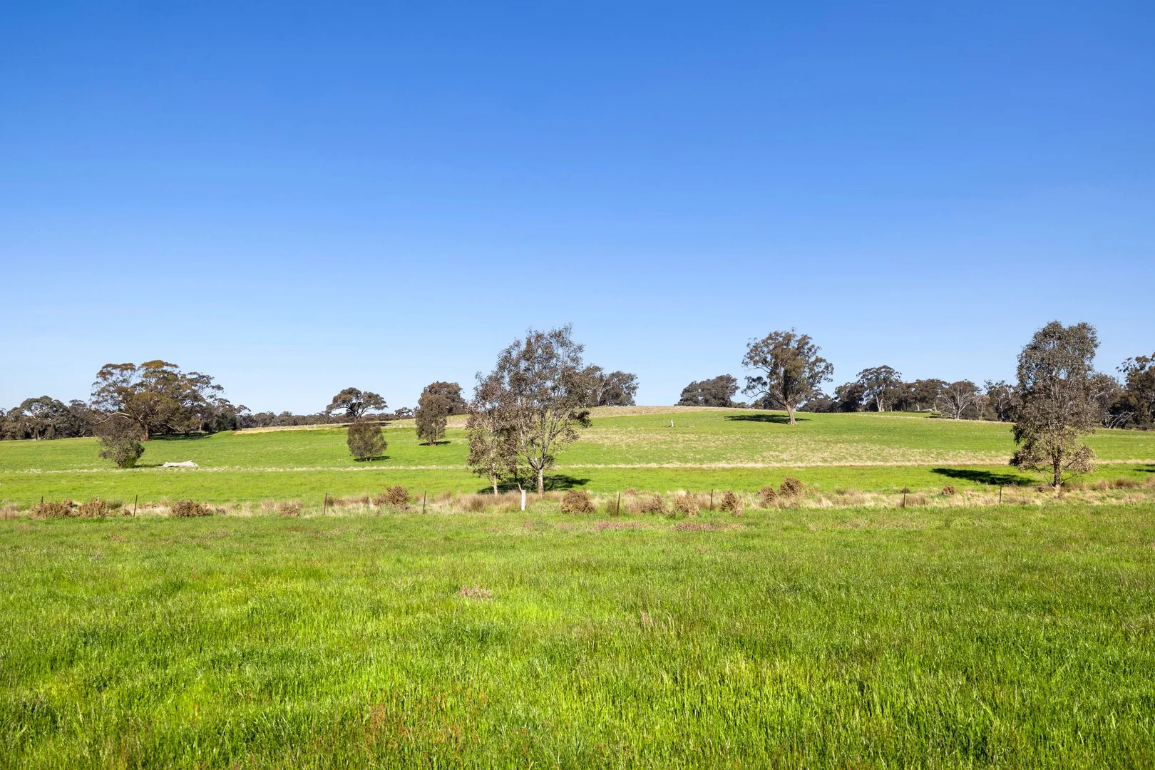 Additional image 17 of 189 Siddles Road, Redesdale VIC 3444