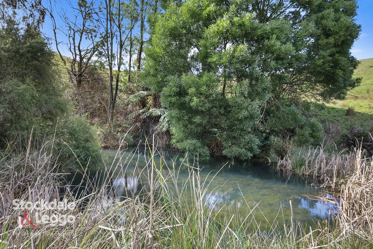 Additional image 20 of 30 Bickerton Lane, Mirboo VIC 3871