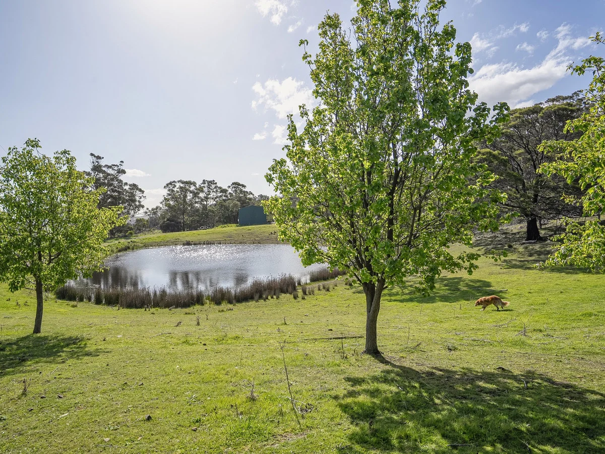 Additional image 26 of 792 Middle Tea Tree Road, Tea Tree TAS 7017