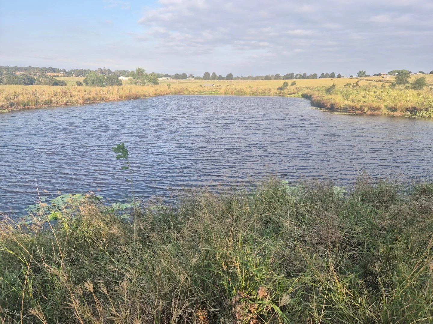 Additional image 7 of 167 Linnings Rd, Haigslea QLD 4306