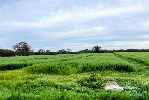 Additional image 9 of 1770 Beermullah Road West, Gingin WA 6503